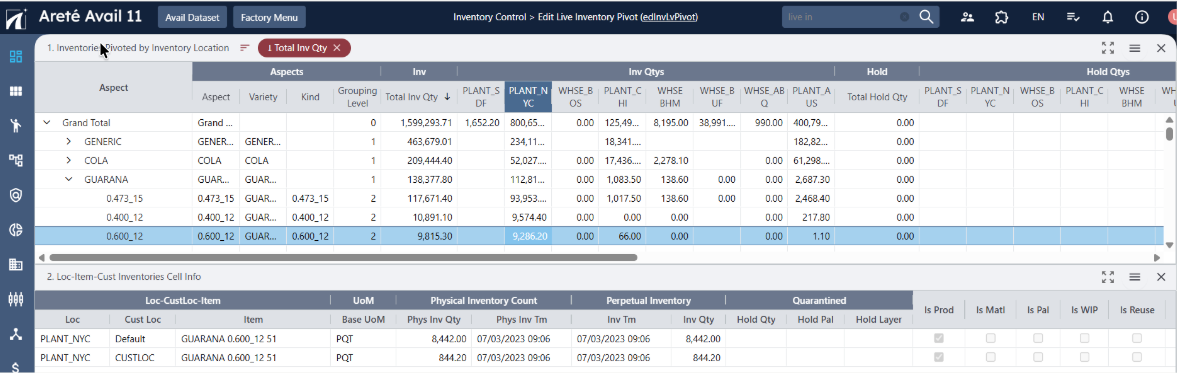 Sample Edit Live Inventory Pivot displaying the Cust Loc